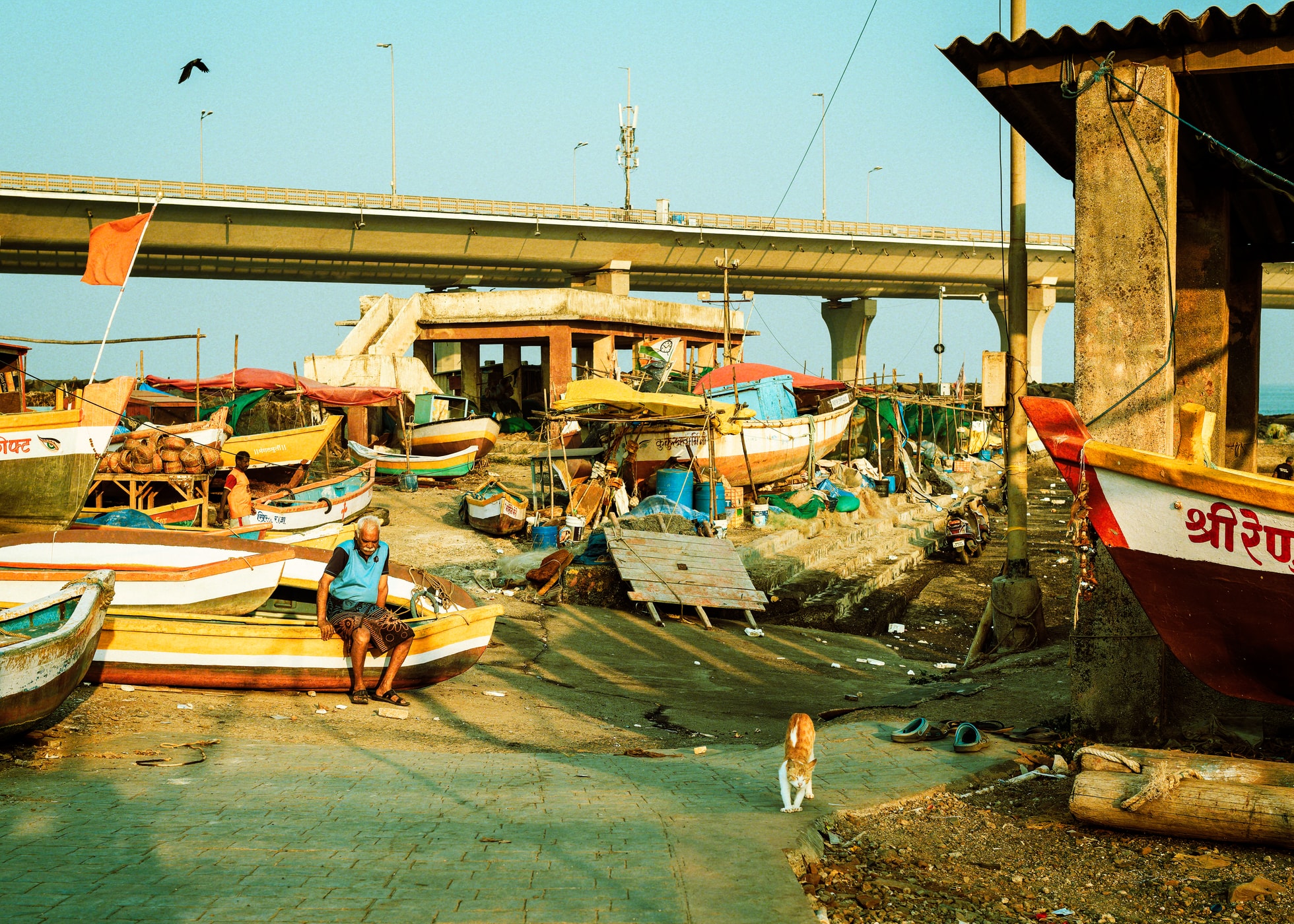 In the Shadow of Progress